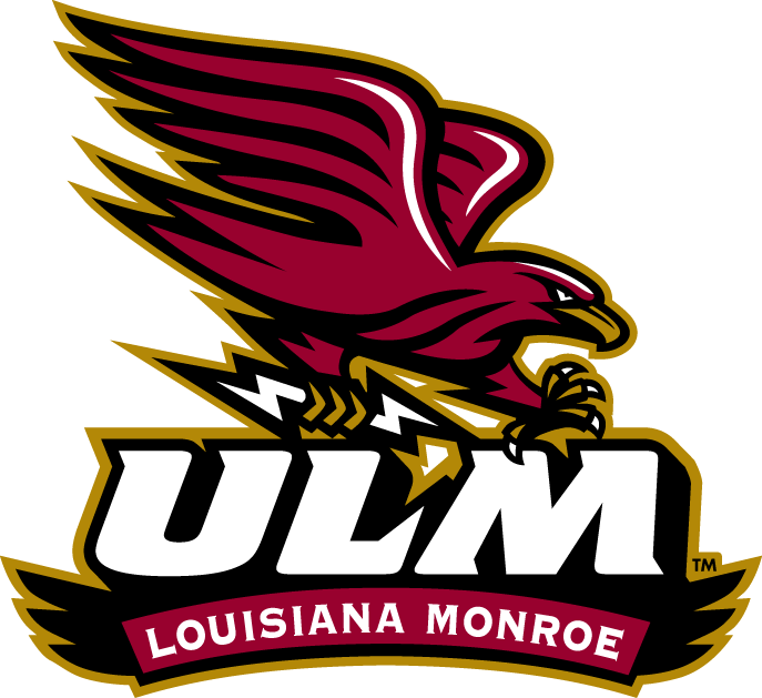 Louisiana-Monroe Warhawks 2006-Pres Alternate Logo v2 diy iron on heat transfer